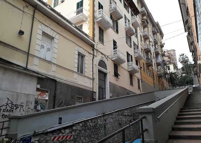 House Of Vera